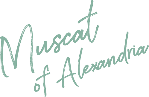Muscat of Alexandria